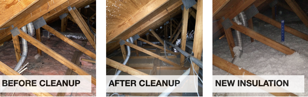 All Thermo Before And After Attic Restoration