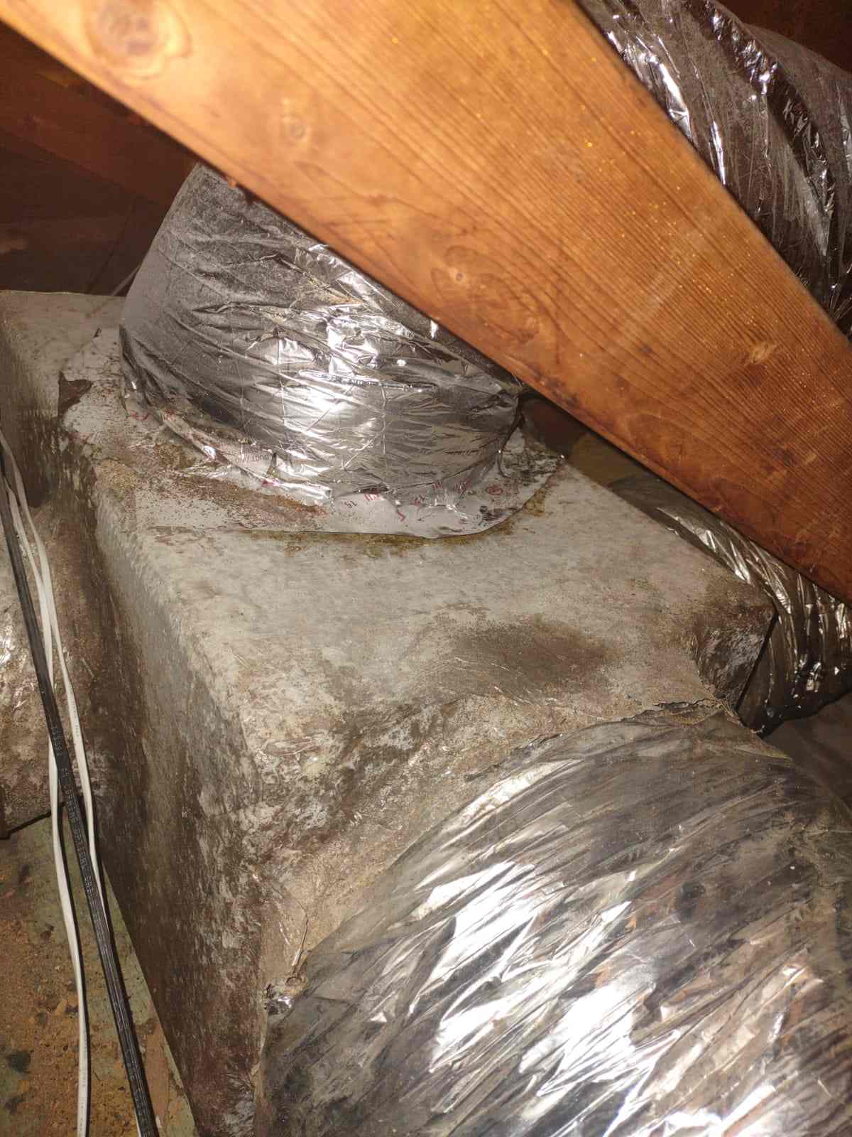 AC Ductwork Mold and Mildew 