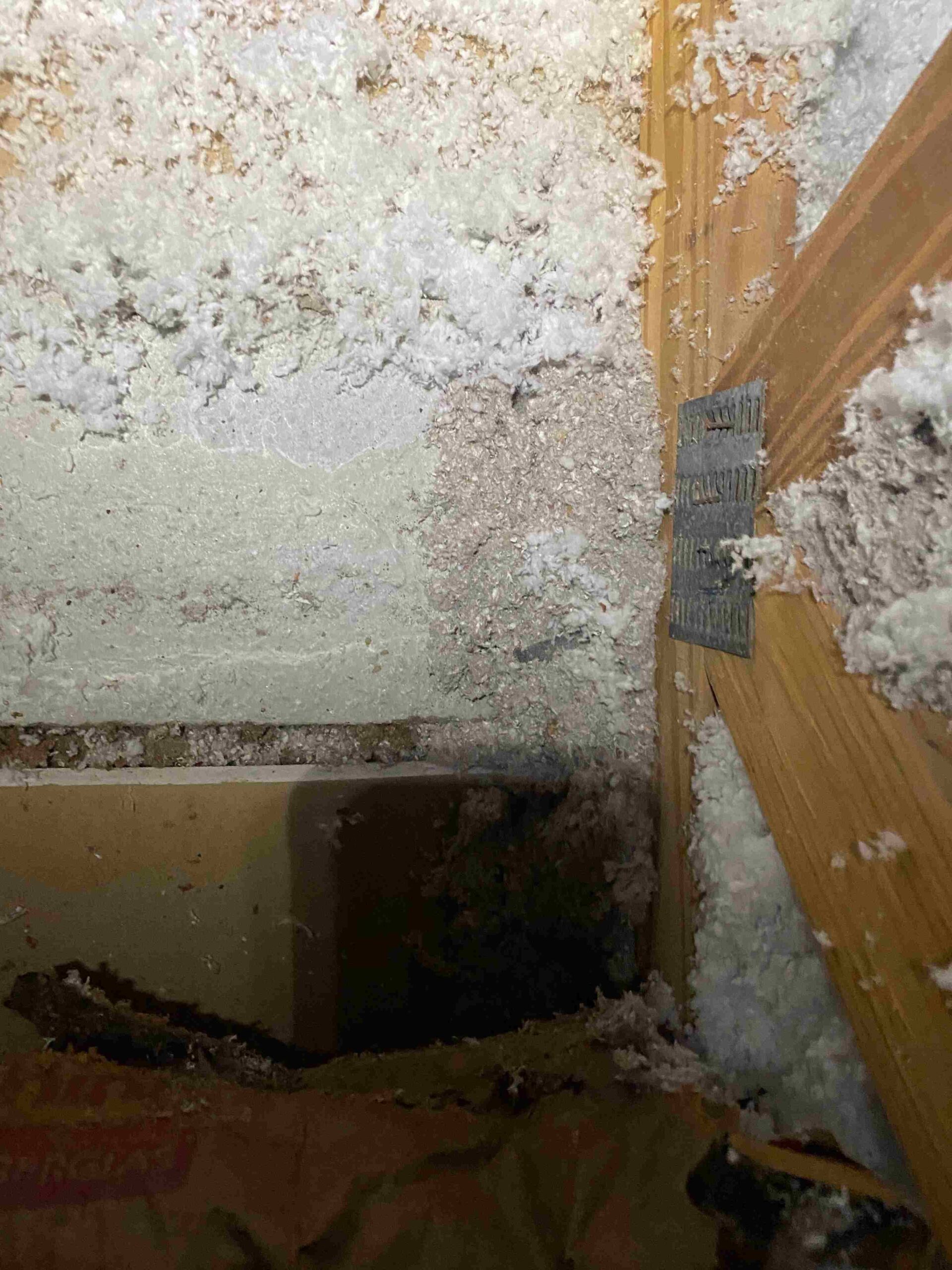 Cellulose (brown/grey) Insulation that was suppose to be completely removed by a new insulation company in our area. They just blew over it with different color insulation.