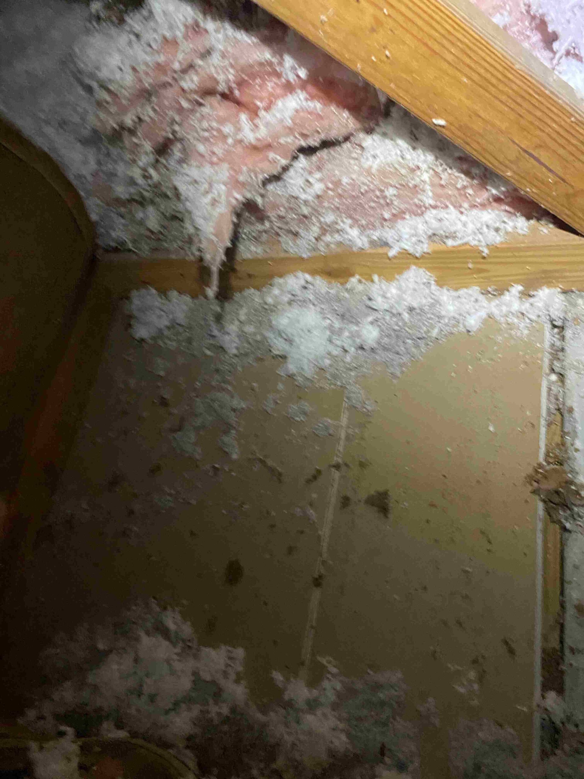 After discovering faulty insulation, one of our customers was forced to vacate their homes. However, we remedied the situation by removing the previously installed insulation from another company and successfully facilitated the return of our customers to their residences.