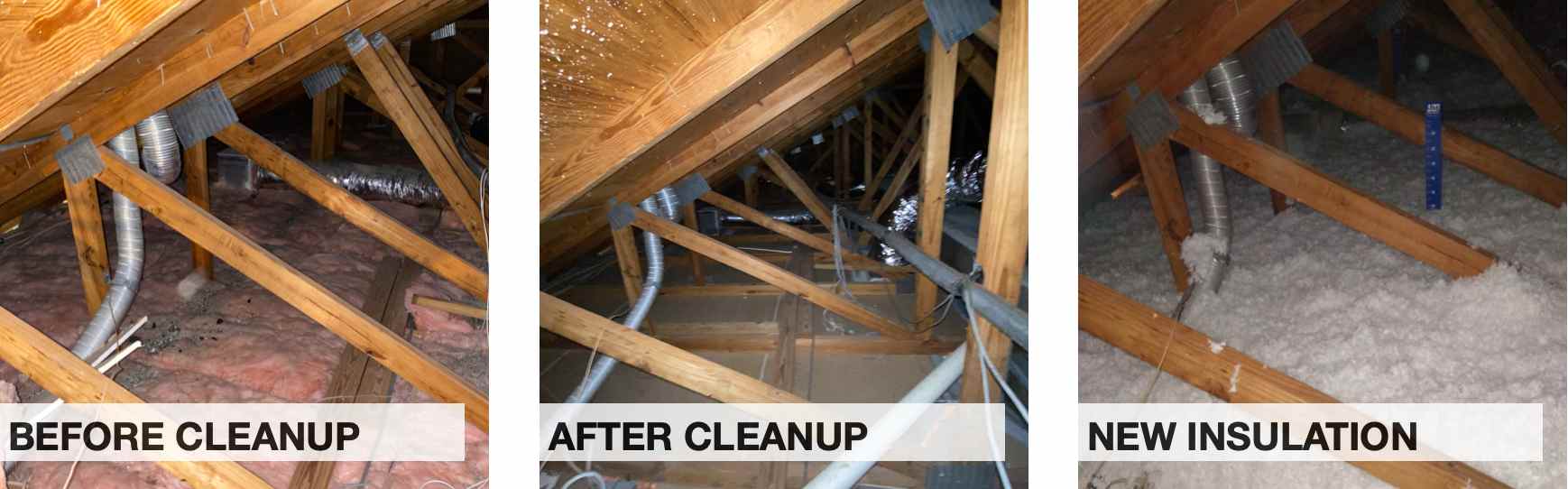 Before, during and After insulation removal in West Palm Beach, FL