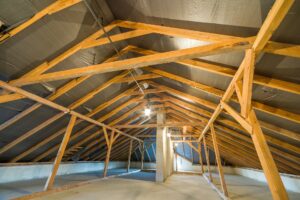 Attic Cleaning