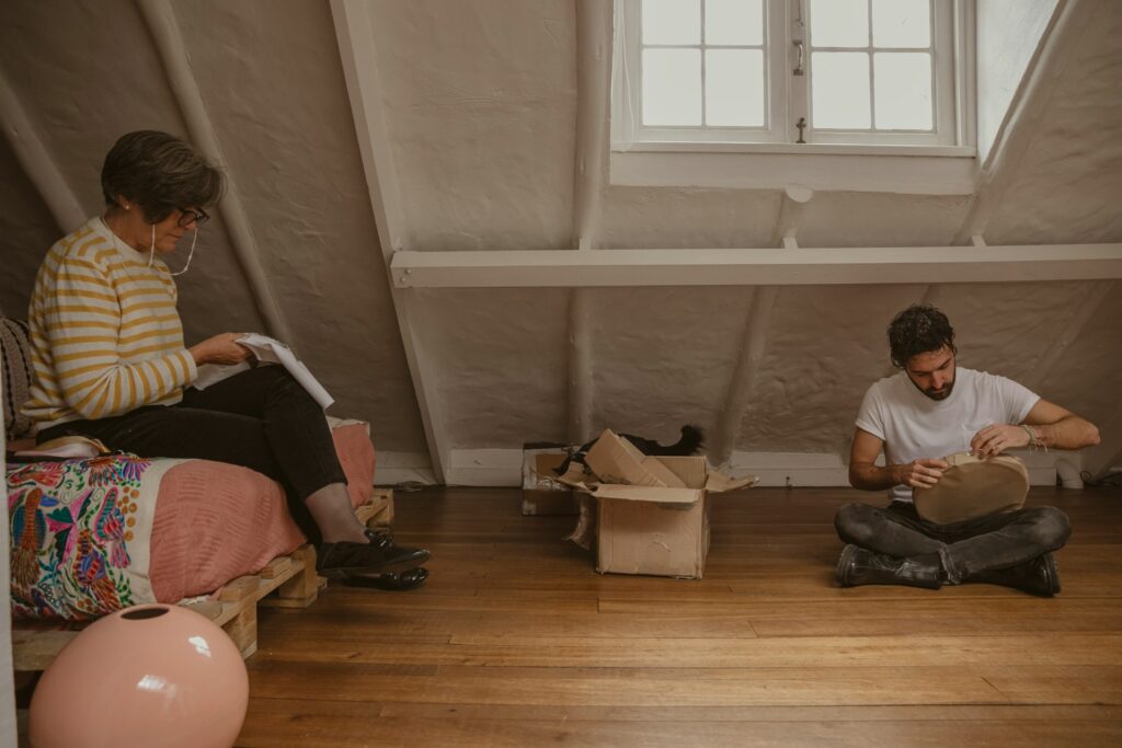 attic cleaning and sanitizing Florida