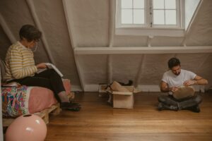 attic cleaning and sanitizing Florida