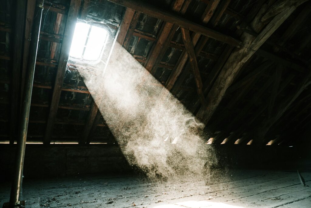 Attic Florida