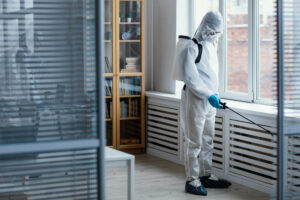 Prevent Infestations in Florida