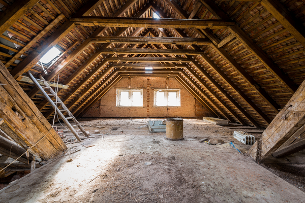Rodent Attic Clean up